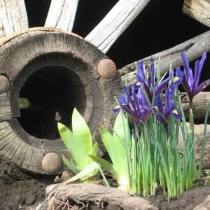 Meet your Posher, Riley